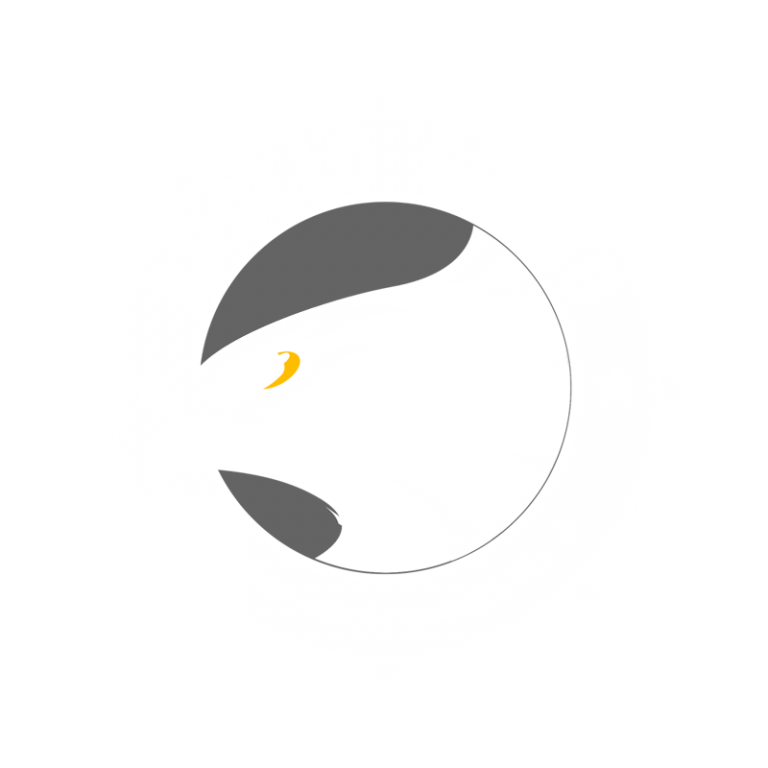 APOLLO GUARD